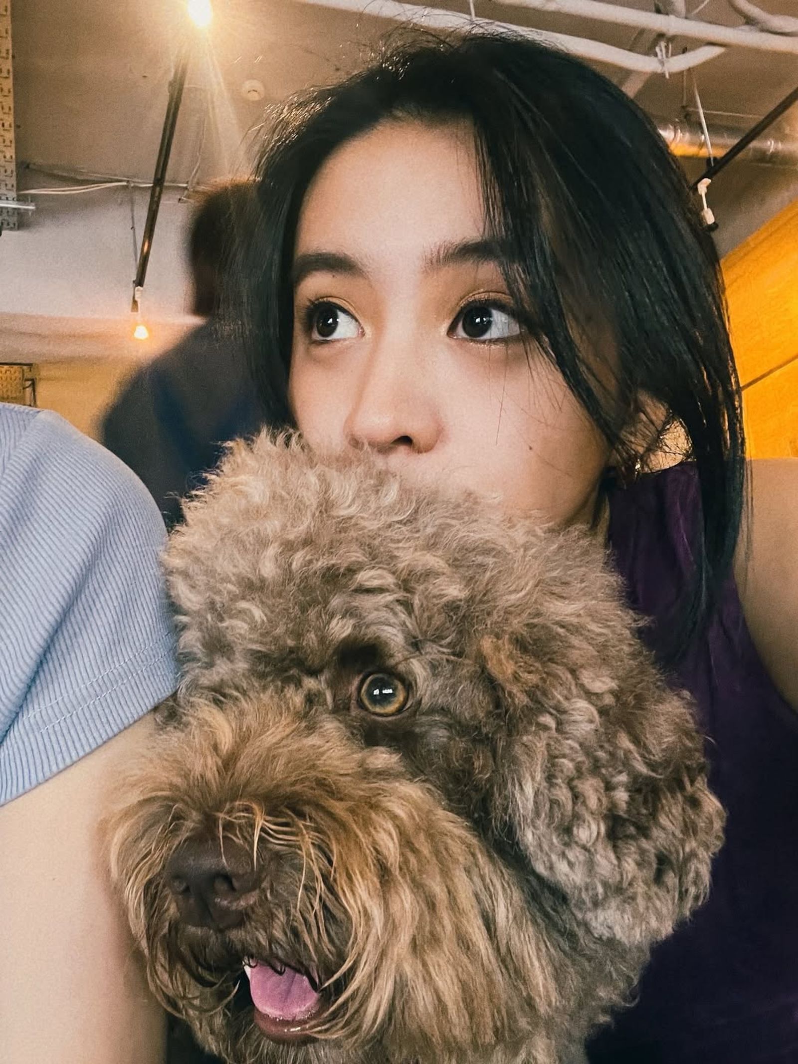 光希黏著狗狗，氣氛溫馨。（翻攝koki IG）