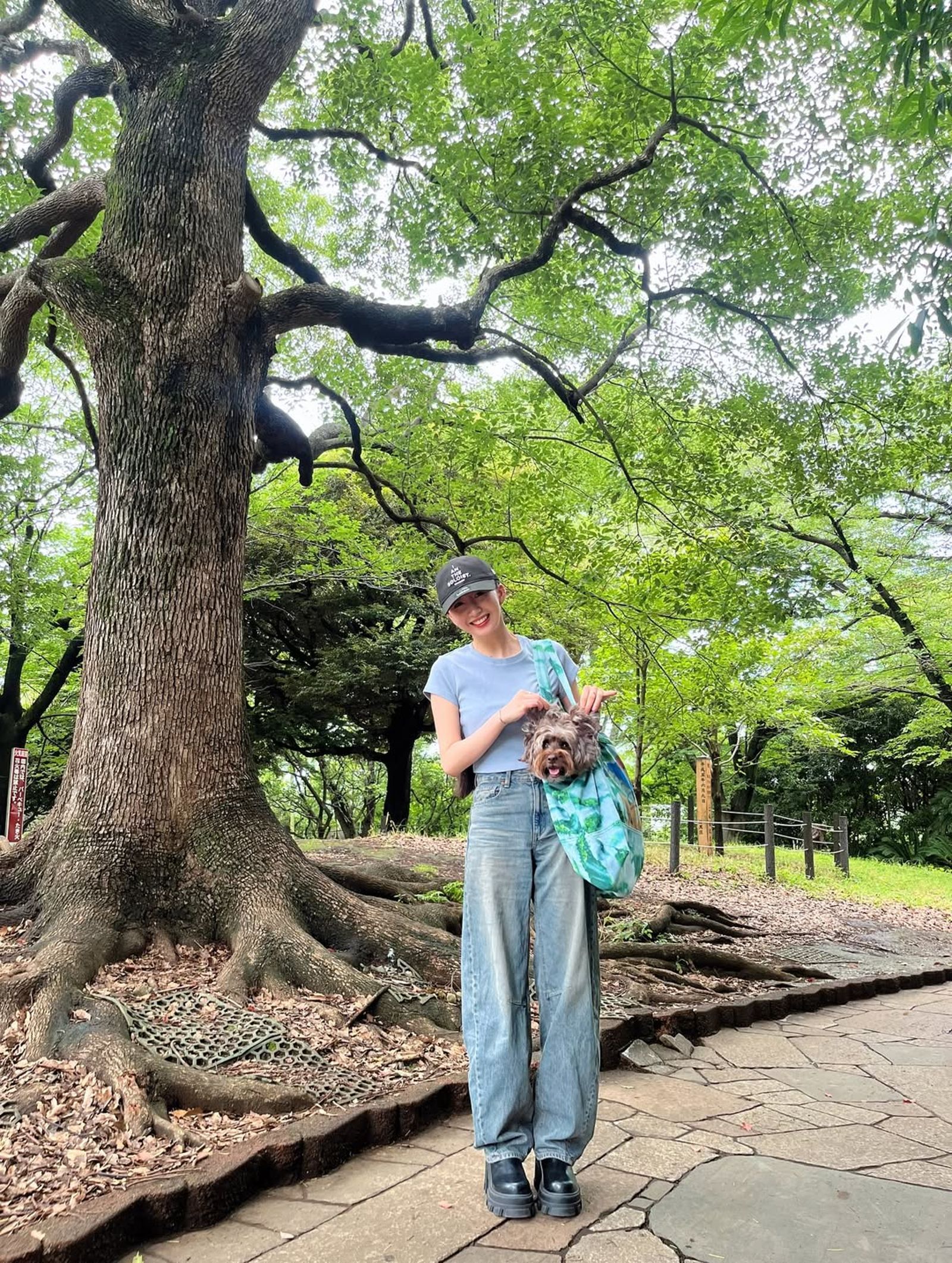 心美把狗狗放在袋子裡，非常可愛。（翻攝@cocomi_553_official IG）