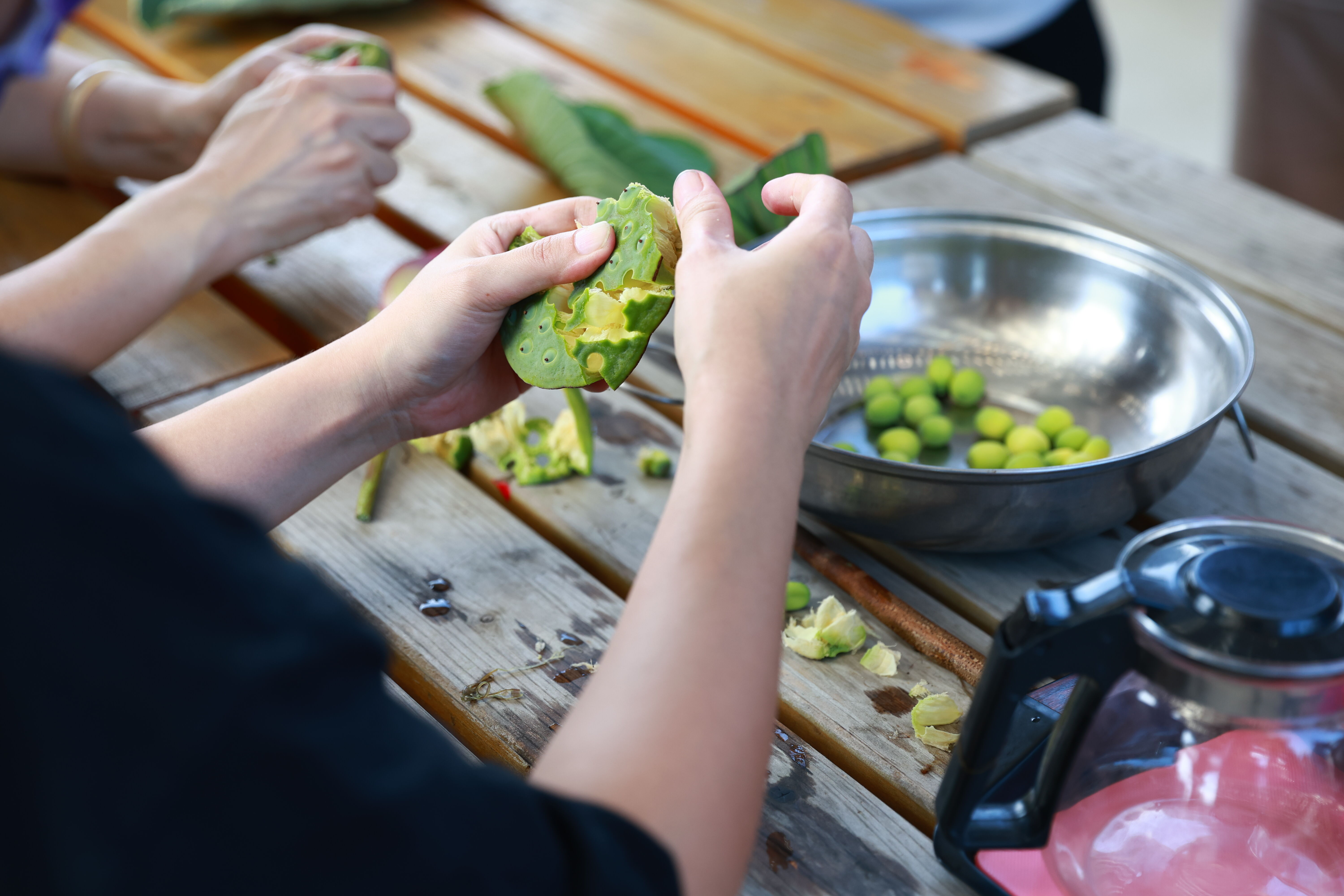 ▲▼ 桃園蓮花季,接駁車,消暑,暑假,夏天,賞蓮,一日遊,半日遊,觀光,親子。（圖／桃園市政府提供）