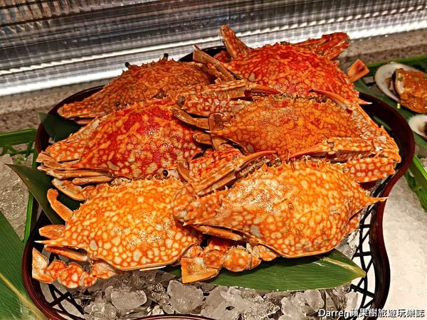 ▲▼NAGOMI新光A8店。（圖／部落客Darren蘋果樹旅遊玩樂誌授權提供）