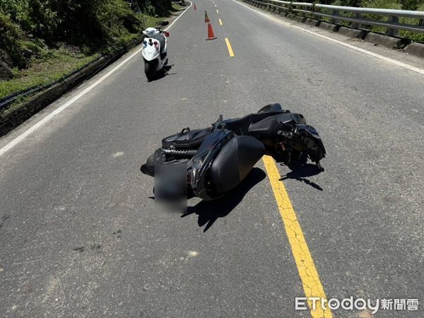 ▲▼屏東 撞到猴子             。（圖／記者陳崑福翻攝）