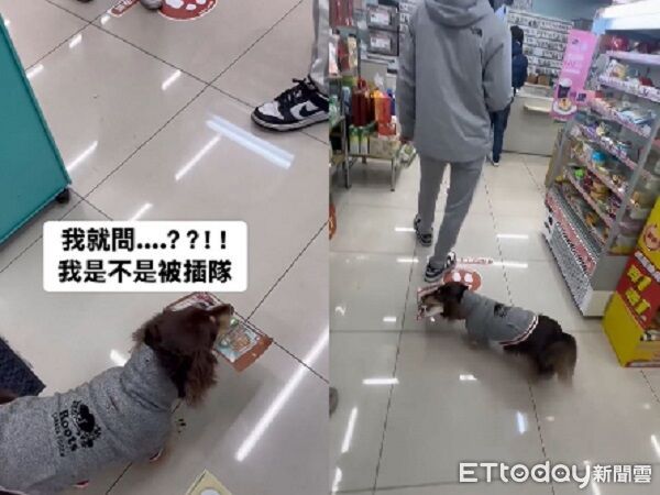 ▲。（圖／有點毛毛的／Cooper is doooooog ）