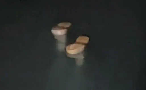 ▲消防下海救人。（圖／記者唐詠絮翻攝）