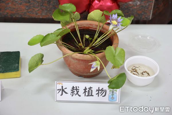 ▲雲林縣衛生局在北港鎮老人會舉行「齊心孳清 家戶動起來」登革熱防治記者會。（圖／記者游瓊華翻攝）