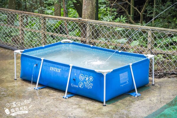 ▲▼馬武督探索森林。（圖／部落客滿分的旅遊札記授權提供）