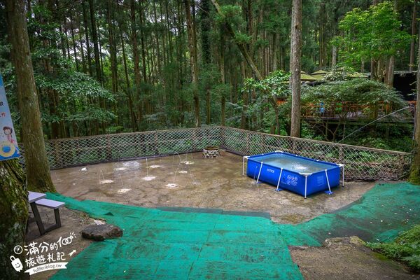 ▲▼馬武督探索森林。（圖／部落客滿分的旅遊札記授權提供）