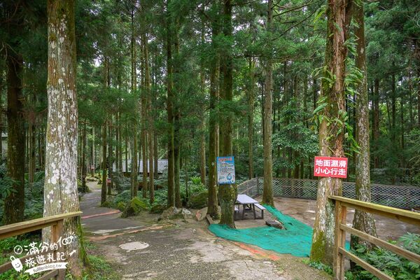 ▲▼馬武督探索森林。（圖／部落客滿分的旅遊札記授權提供）