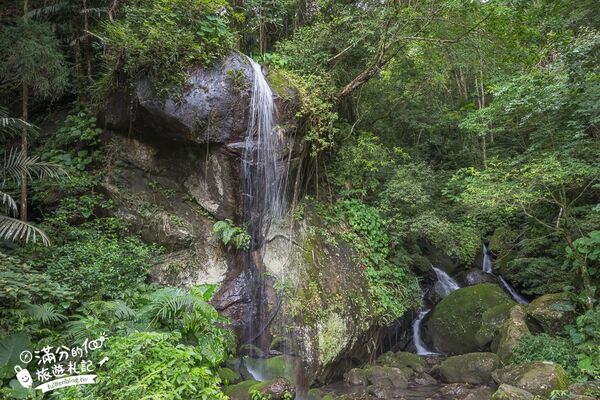 ▲▼馬武督探索森林。（圖／部落客滿分的旅遊札記授權提供）