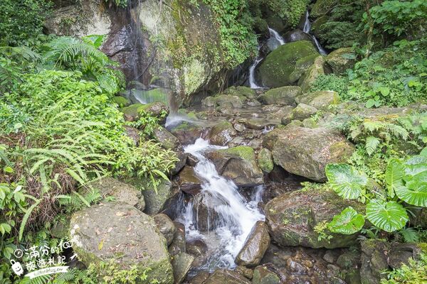 ▲▼馬武督探索森林。（圖／部落客滿分的旅遊札記授權提供）