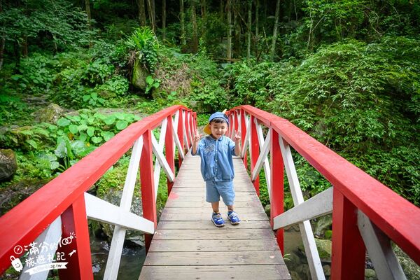 ▲▼馬武督探索森林。（圖／部落客滿分的旅遊札記授權提供）