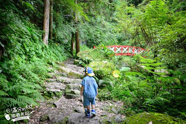 ▲▼馬武督探索森林。（圖／部落客滿分的旅遊札記授權提供）