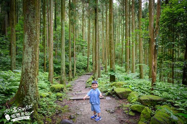 ▲▼馬武督探索森林。（圖／部落客滿分的旅遊札記授權提供）
