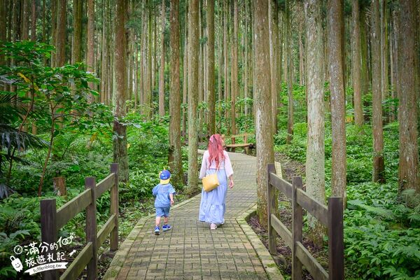 ▲▼馬武督探索森林。（圖／部落客滿分的旅遊札記授權提供）