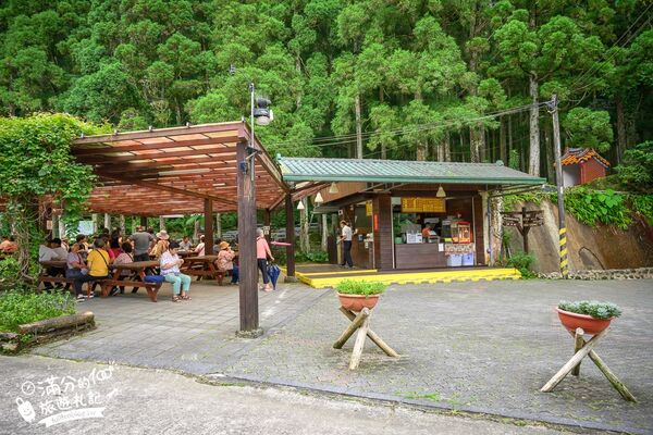 ▲▼馬武督探索森林。（圖／部落客滿分的旅遊札記授權提供）