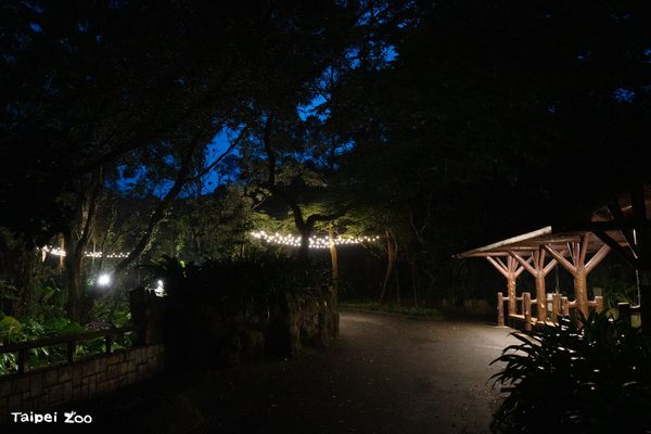 動物園重新開放。（圖／台北市立動物園提供）