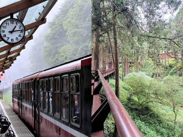 ▲▼阿里山一次體驗夏日清涼。（圖／ReadyGo提供）