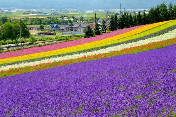 ▲澳洲旅遊「港灣大橋」，北海道團費降至2萬起,韓國旅遊熱度持續攀升。（圖／易遊網提供）
