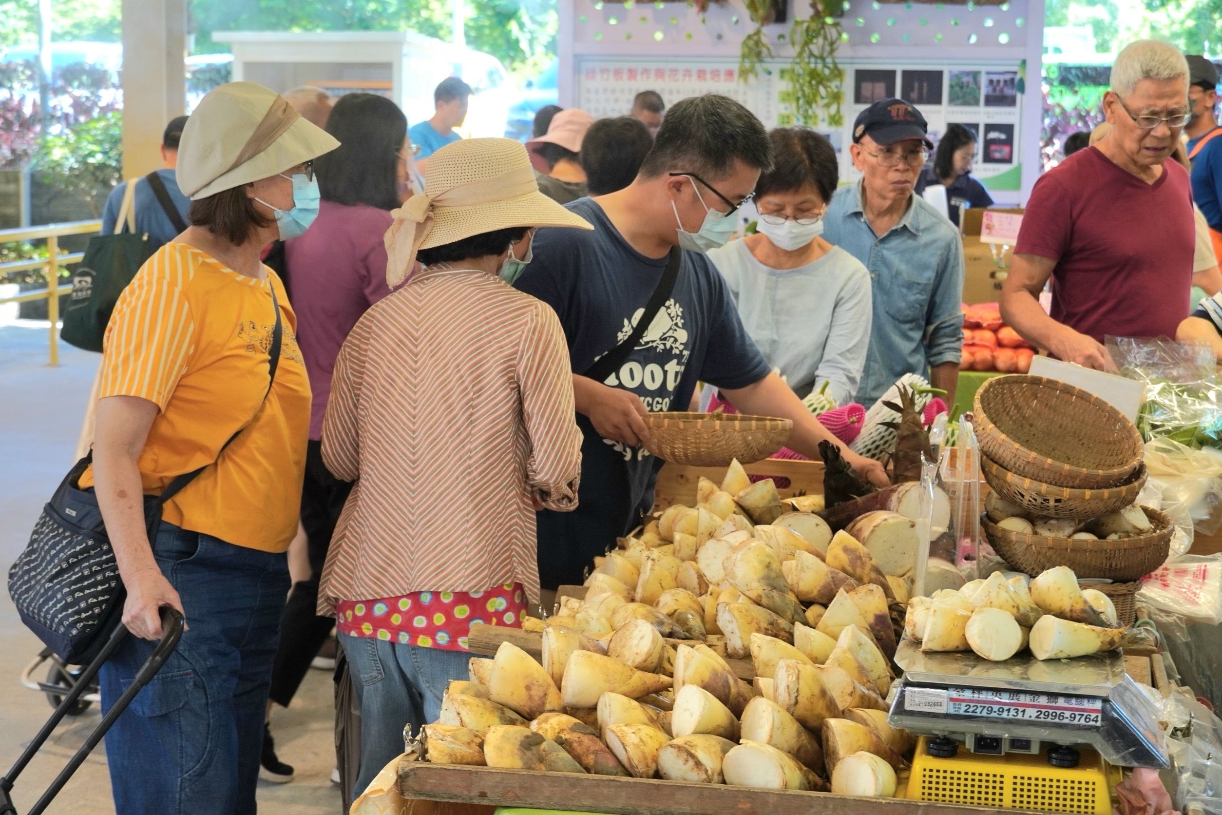 ▲新北綠竹筍評鑑大放異彩。（圖／新北市農業局提供）