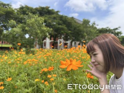台南山上百年水道紅磚+粉紅花海超夢幻 夏日限定打卡點提前登場