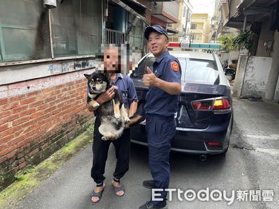 南投迷路柴柴跳上陌生人機車不走　警見名牌「饅頭」找到飼主