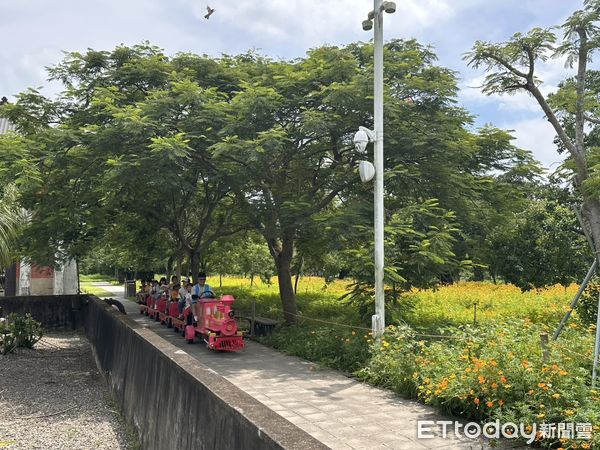 ▲山上花園水道博物館波斯菊花海已逐漸綻放，搭配紅磚建築成為夢幻打卡熱點。（記者林東良翻攝，下同）