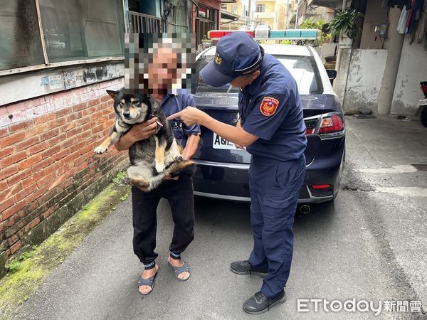 ▲中興分局警民聯手助迷路的毛孩「饅頭」平安返家。（圖／記者高堂堯翻攝）