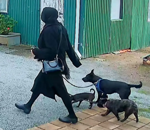 ▲▼34歲澳女星「斬首男友」焚屍！半裸持刀站路邊　頭顱至今失蹤。（圖／翻攝自X）