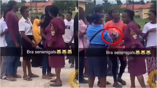 ▲▼考前檢查「有沒有穿胸罩」！女大生排隊被摸　奈及利亞大學挨轟。（圖／翻攝X）