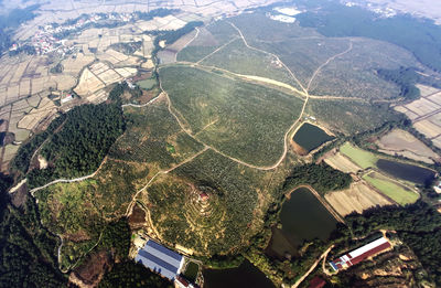 盛生食品苦茶油獲台灣、國際有機驗證　在東森電視購物5天賣近5千瓶