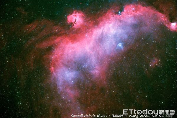 ▲全臺首創「高山暗空 &times; 觀光農場」導覽聯盟將於7月1日啟動。（圖／清境農場提供，下同）