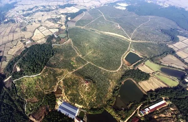 ▲盛生食品集團在江西吉安開墾建立自主生態苦茶園。（圖／盛生食品提供）