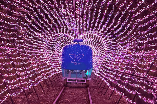 ▲新北「深澳鐵道自行車」7月1日至8月31日期間，每日加開7班星光班次。（圖／新北市觀旅局提供）