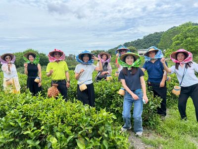 三井海洋郵輪代表應邀來台踩線　其高端郵輪9月底開始掛靠台灣