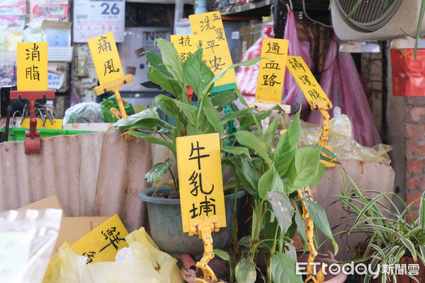 ▲青草巷,萬華青草巷。（圖／記者彭懷玉攝）