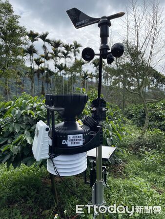 ▲▼   智慧科技助攻! 嘉義縣政府輔導咖啡園轉型見成效    。（圖／嘉義縣政府提供）