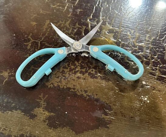 ▲田中鎮清山宮遭不明男子闖入倒插香埋剪刀噴口水。（圖／民眾提供）