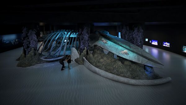 ▲新加坡海洋生態館,萬態野生動物世界亞洲雨林探險園,濱海灣花園《侏羅紀世界：體驗》 ,新加坡摩天輪。（圖／新加坡旅遊局提供）