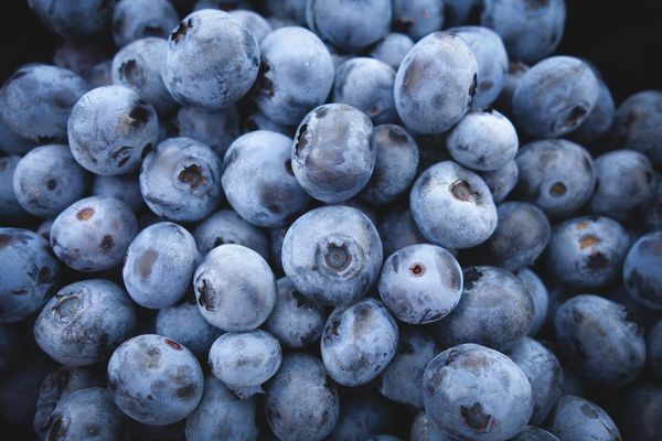 ▲▼改變頭皮屑超有感　甜食炸物盡量少碰             。（圖／Unsplash）