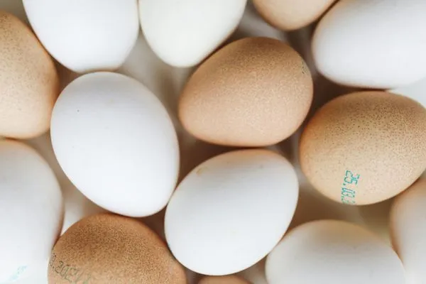 ▲▼ 冷凍雞蛋,保存技巧,料理,食材,活用,日本,甜點,鹹食。（圖／Pexels）