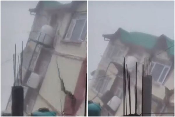 ▲▼             。（圖／翻攝自X）