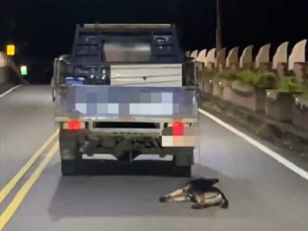 ▲宜蘭黑狗遭綁小貨車「拖行」　飼主稱未發現狗跳車：僅皮肉傷（圖／翻攝自Threads）