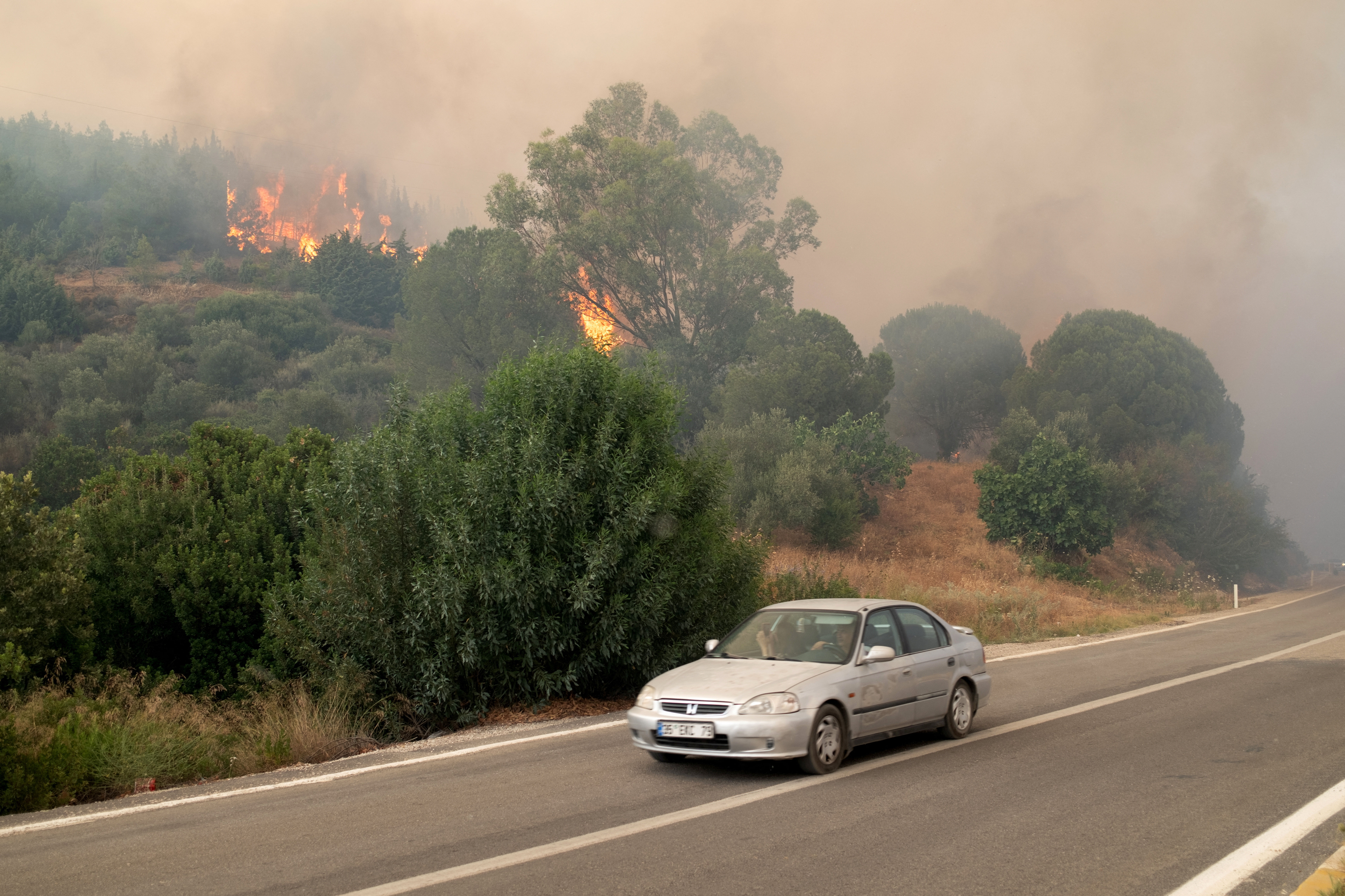 ▲▼ 土耳其伊茲米爾省爆發野火。（圖／路透）