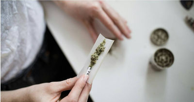 美國媽餵子女大麻 遭逮竟稱「防日後染毒」