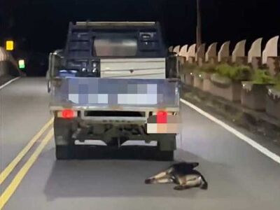 宜蘭黑狗遭綁小貨車「奮力追→拖行」　飼主稱未發現狗跳車