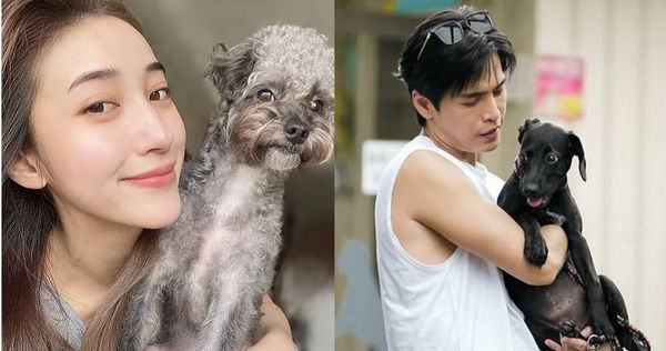 毛孩傳情1／Gino當司機兼狗狗保姆　送夏宇禾與好姐妹出遊