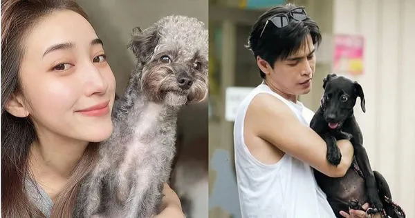 毛孩傳情1／Gino當司機兼狗狗保姆　送夏宇禾與好姐妹出遊