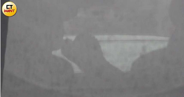 毛孩傳情1／Gino當司機兼狗狗保姆　送夏宇禾與好姐妹出遊