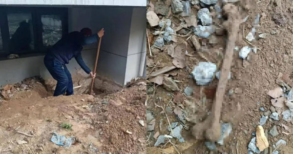 孫女買的新房多次挖出人骨，當場嚇到腿軟。（圖／翻攝自微博）