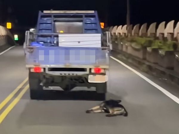 ▲宜蘭頭城鎮開蘭橋上小貨車栓著黑狗在路上拖行，狗倒臥地面還繼續拖拉，傷痕累累。（圖／擷取自《Threads》）