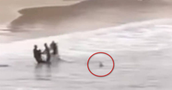 鯊魚（紅圈處）追殺咬傷的少年到岸邊。（圖／翻攝自IG）